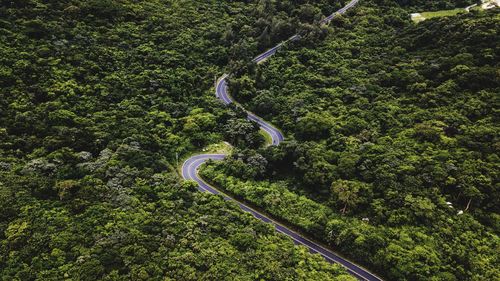 Aerial view of winding road in forest