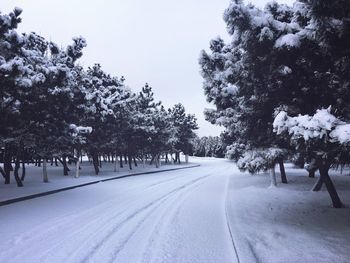 Road amidst trees against clear sky during winter