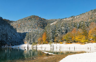 Scenic view of trees on mountain against clear sky during winter