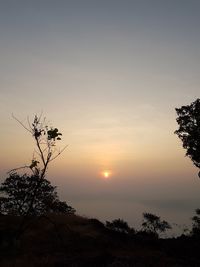 Low angle view of silhouette trees against sky at sunset