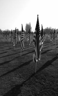 Trees on countryside landscape