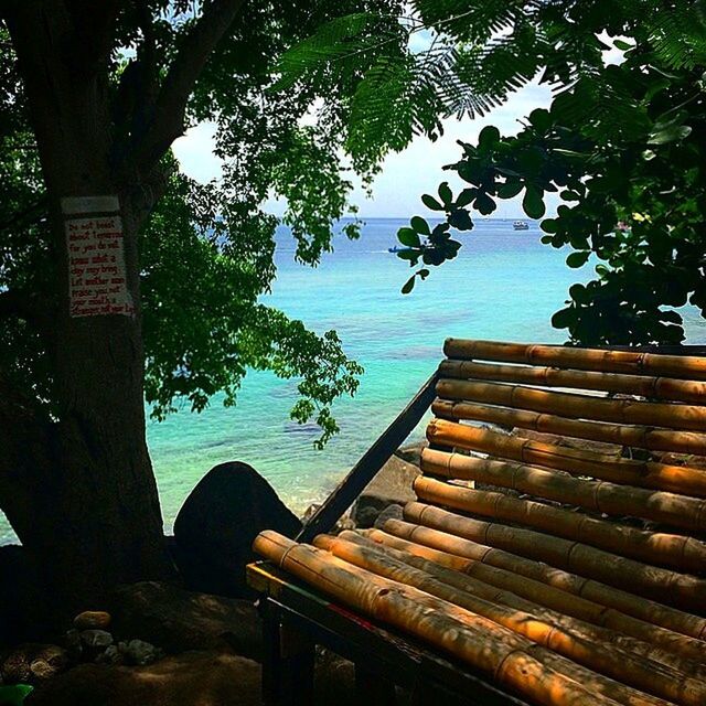 tree, wood - material, sky, built structure, branch, nature, tranquility, growth, building exterior, architecture, day, outdoors, sunlight, no people, tree trunk, house, low angle view, roof, wooden, bench