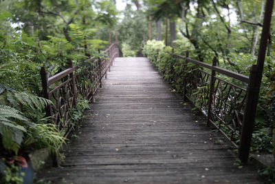 Rear view of man walking on footbridge