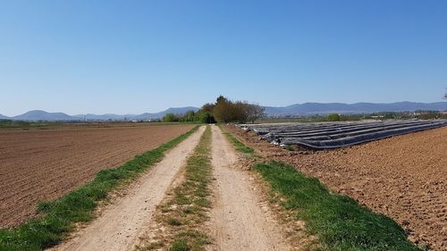 Scenic view of agricultural field against clear sky