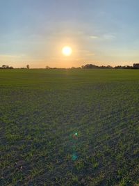 Scenic view of field against sky during sunset