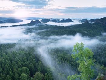 Marvelous daybreak. misty awakening in a beautiful hills. peaks of hills in heavy  fog  bellow sun 