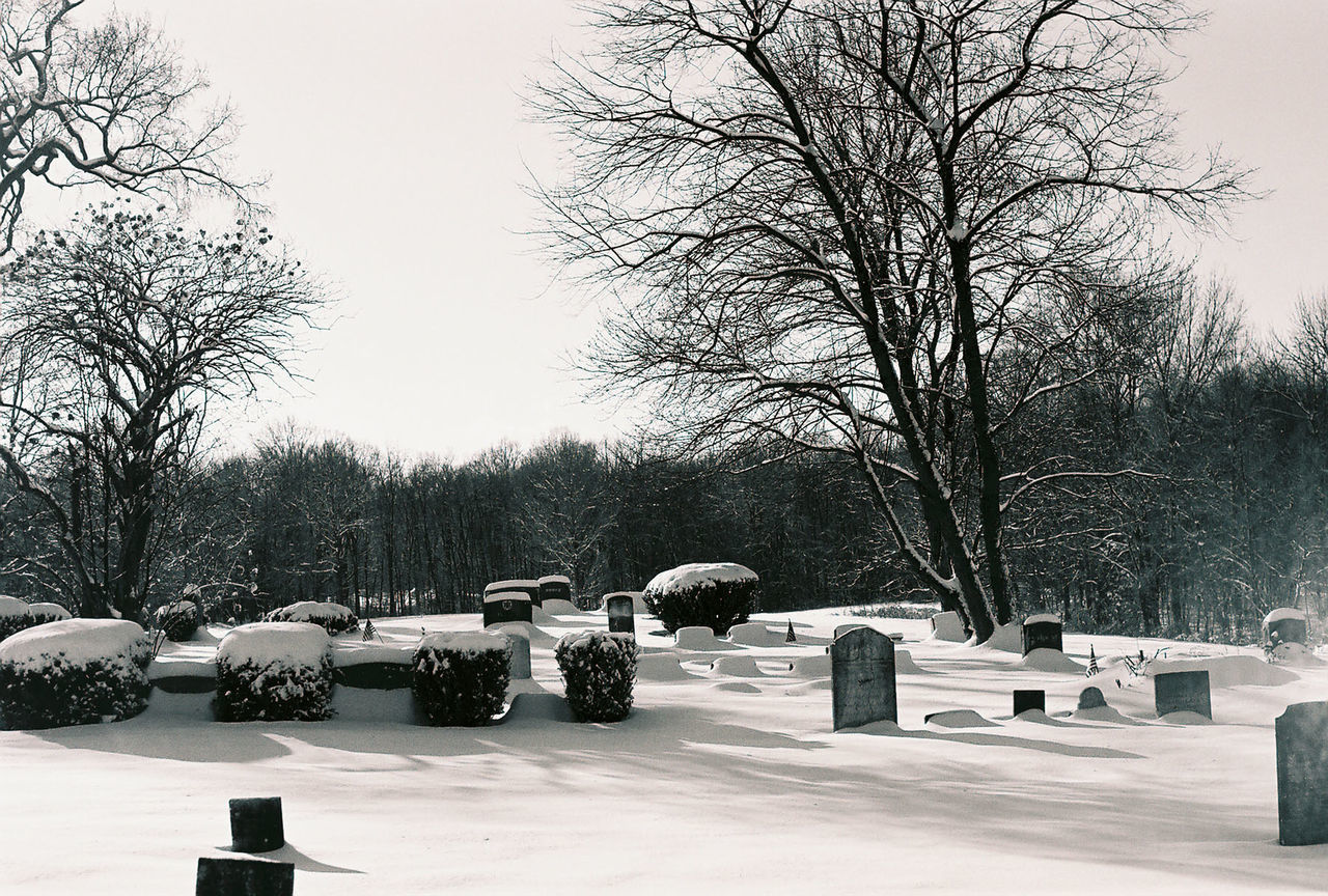 VIEW OF CEMETERY