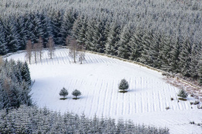 High angle view of snow covered landscape