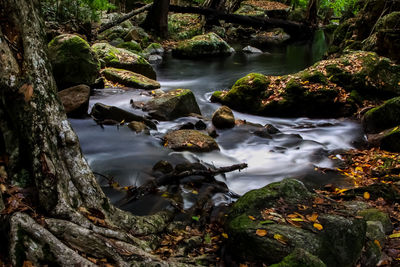 River flowing through rocks in forest