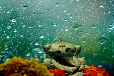 Close-up of raindrops on glass window