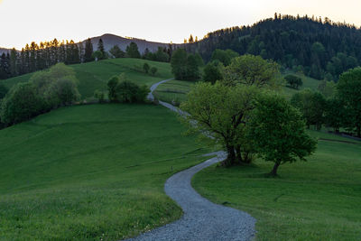 Scenic view of rural road against sky