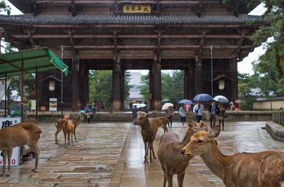 Woman looking at city