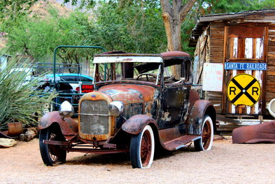 View of car parked against trees