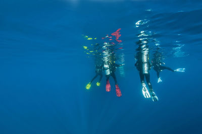 View of scuba divers in sea