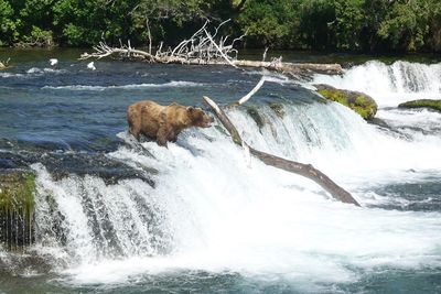 View of waterfall