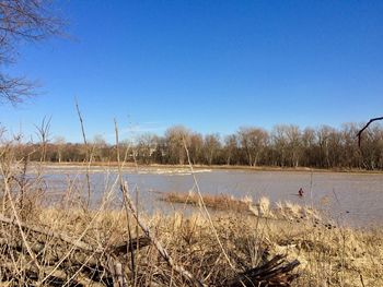 Scenic view of lake against clear blue sky
