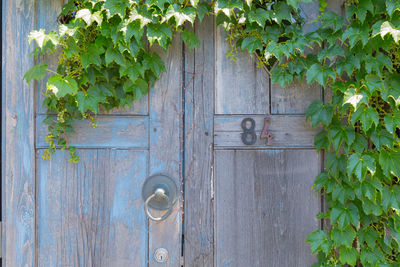 Close-up of old wooden door