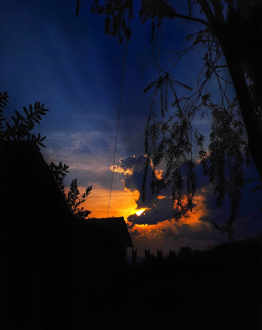 tree, sky, evening, night, darkness, plant, silhouette, sunset, nature, dusk, light, cloud, beauty in nature, no people, land, scenics - nature, environment, outdoors, orange color, tranquility, landscape, tranquil scene