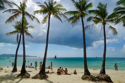 Palm trees on beach against sky