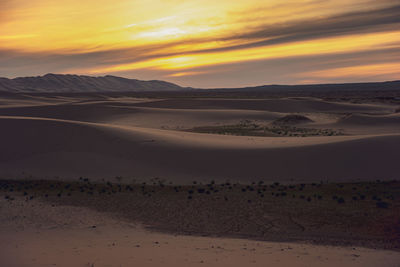 Global warming make arid landscape on the earth.