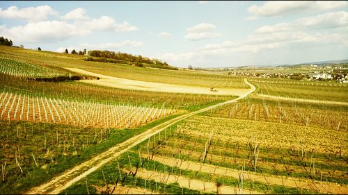 Scenic view of agricultural field against sky