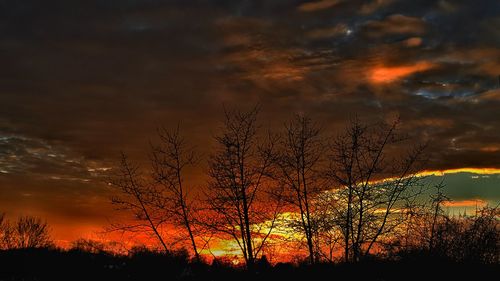 Silhouette trees against dramatic sky during sunset