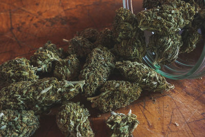 High angle view of plants in jar on table