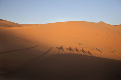 Scenic view of desert against sky