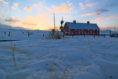 Snow covered landscape at sunset