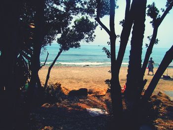 Silhouette trees on beach against sky