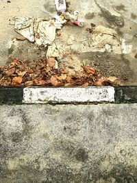 High angle view of dry leaf on garbage