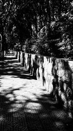 Footpath in park