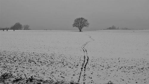 Scenic view of field against clear sky during winter