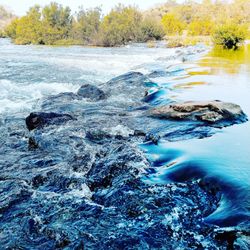 Aerial view of river flowing through forest