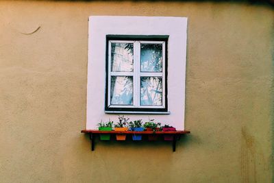 Flower pots on white window sill