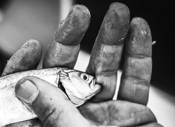 Close-up of human hand