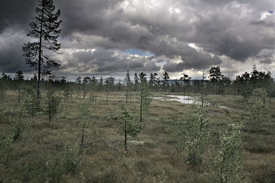 Scenic view of field against cloudy sky