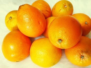 High angle view of oranges on orange