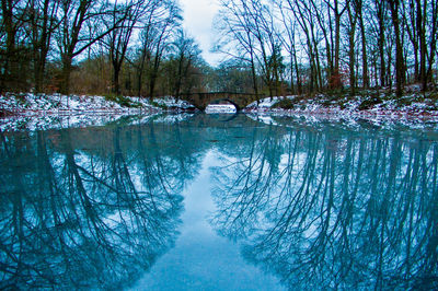 Reflection of trees in river