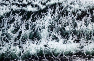 Close-up of water drops on white surface