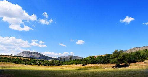 Scenic view of landscape against blue sky