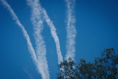 Low angle view of tree against vapor trails in blue sky