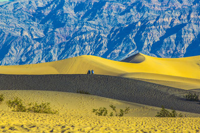 Scenic view of yellow and mountains against sky