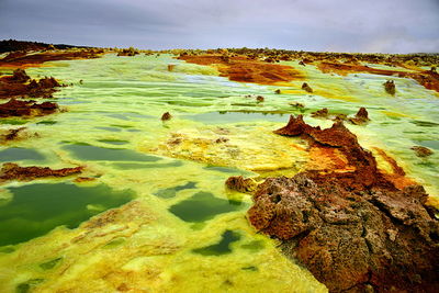 High angle view of rocks on beach