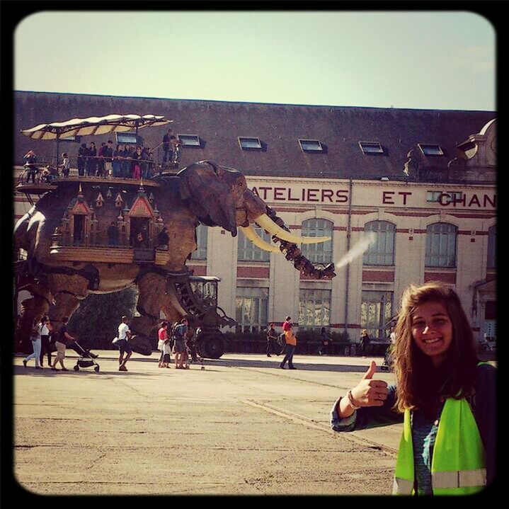 Royal de Luxe