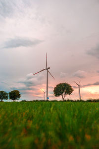 Scenic view of field against sky during sunset