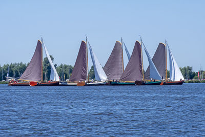 Traditional frisian wooden sailing ships in a yearly competition in the netherlands