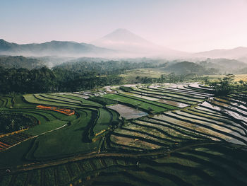 Aerial view of agricultural field against sky