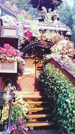 Flowers for sale in market