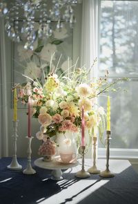 Potted plant on table